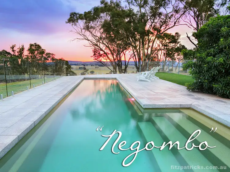 Main view of Homely house listing, 278 Burkes Creek Road, The Rock NSW 2655