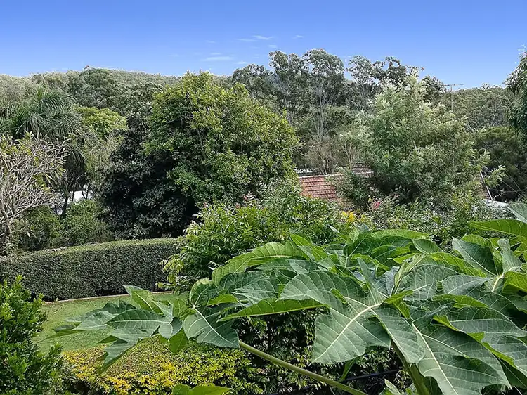 Second view of Homely house listing, 81 Grevillea Road, Ashgrove QLD 4060