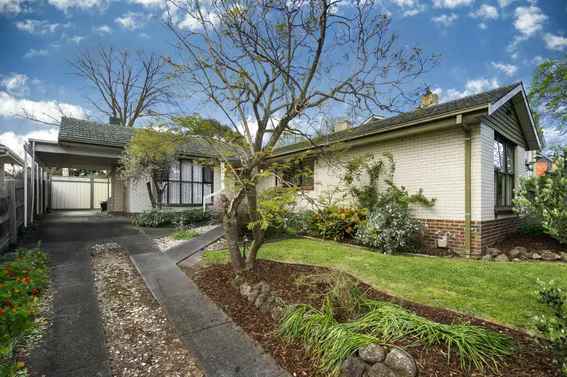 Main view of Homely house listing, 17 Willow Street, Box Hill North VIC 3129