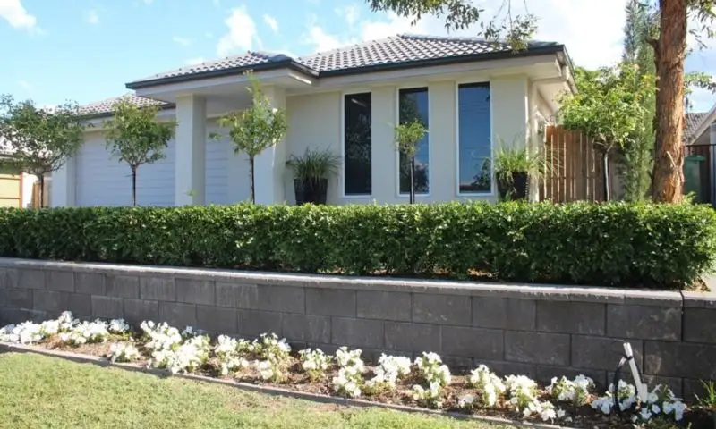 Main view of Homely house listing, 49 Harding Street, Raceview QLD 4305