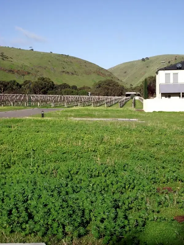 Third view of Homely land listing, Lot 263 The Vines Drive, Normanville SA 5204