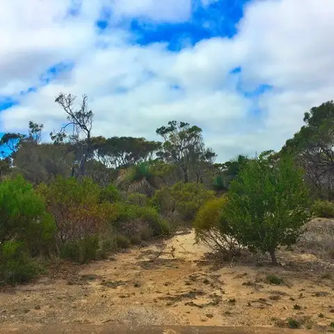 LOT 104 Para Avenue, Cape Jervis SA 5204