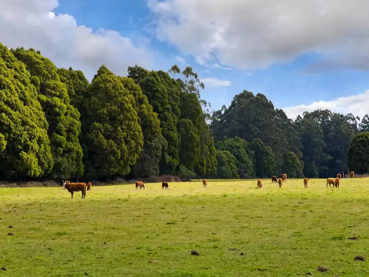 Fourth view of Homely land listing, 3750 Colac Lavers Hill Road, Ferguson VIC 3237