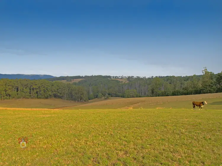 Second view of Homely house listing, 42E Murrays Road, Kinglake VIC 3763