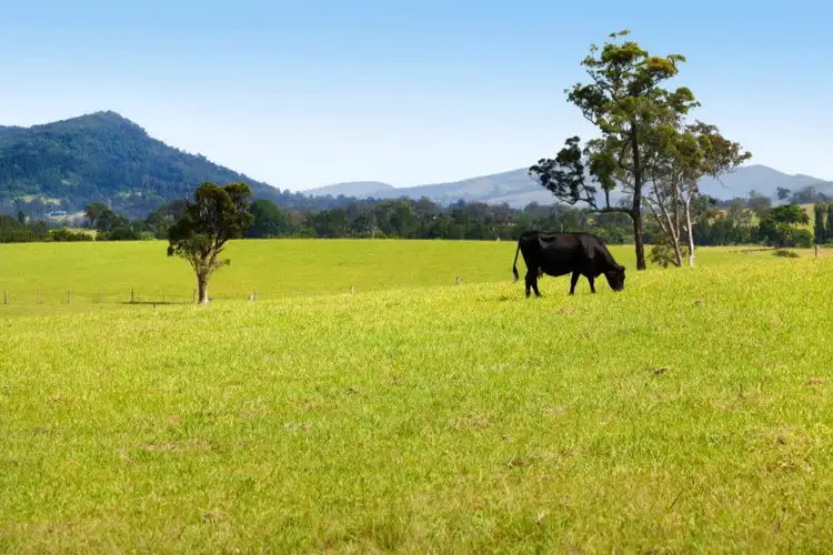 Fifth view of Homely rural property listing, 558 Gresford Road, Paterson NSW 2421