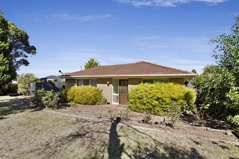 Main view of Homely house listing, 19 Forbes Blvd, Wallan VIC 3756