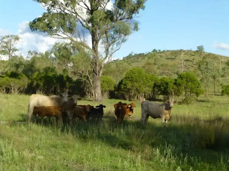 Seventh view of Homely rural property listing, Address available on request