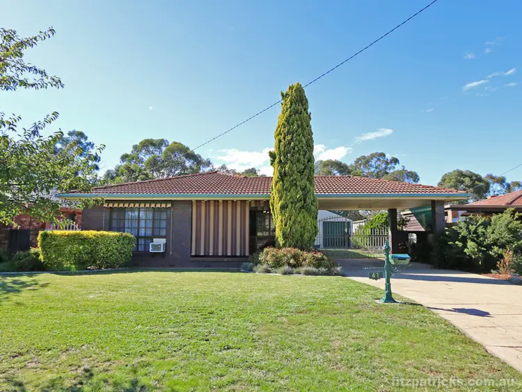 Main view of Homely house listing, 41 Montgomery Street, Ashmont NSW 2650