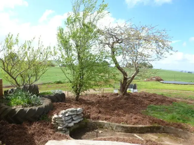 Fourth view of Homely rural property listing, 246 Racecourse Road, Winnaleah TAS 7265