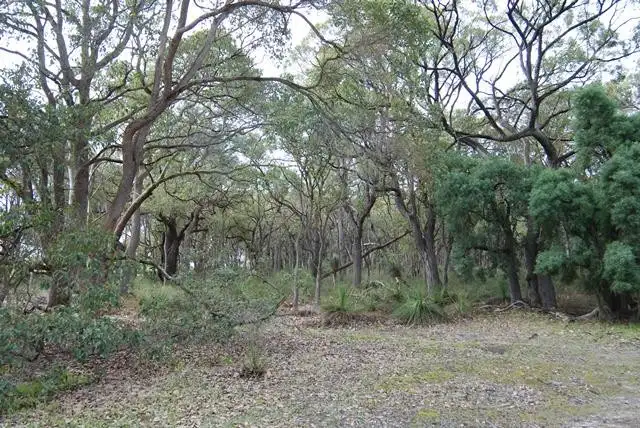 Fourth view of Homely rural property listing, Lot 23 Morande Road, Narrikup WA 6326