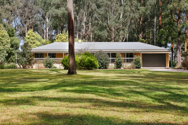 1349 Myers Creek Road, Toolangi VIC 3777
