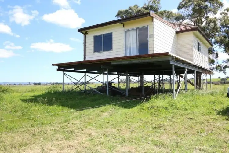 Fifth view of Homely rural property listing, 195 Duckenfield Road, Berry Park NSW 2321
