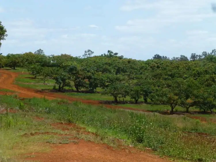Main view of Homely rural property listing, 40 AVOCADO DRIVE, Childers QLD 4660