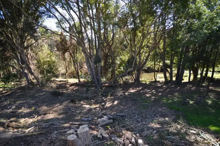 Third view of Homely house listing, 42 Riverbend Drive, Canungra QLD 4275