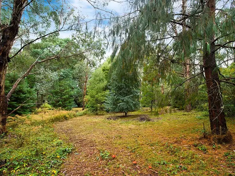 Main view of Homely land listing, 51 Brunts Road, Bullarto VIC 3461