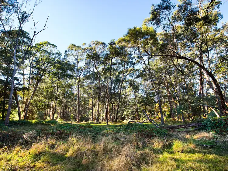 Fourth view of Homely land listing, 28 Plantation Road, Glenlyon VIC 3461