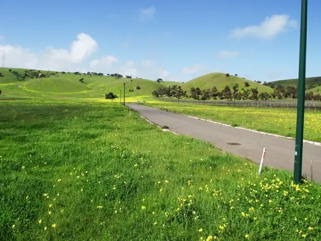 Main view of Homely land listing, LOT 206 The Vines, Normanville SA 5204
