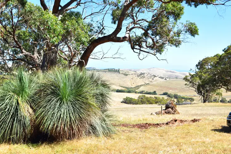 Main view of Homely land listing, LOT 19 Forest Rd, Delamere SA 5204