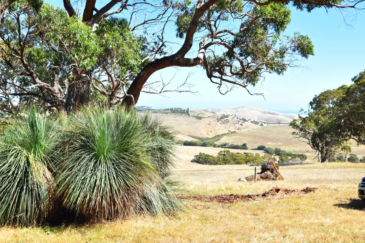 Main view of Homely land listing, LOT 19 Forest Rd, Delamere SA 5204