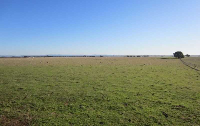 Main view of Homely rural property listing, Boralma Rutherglen Road, Springhurst VIC 3682