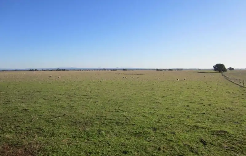 Main view of Homely rural property listing, Boralma Rutherglen Road, Springhurst VIC 3682