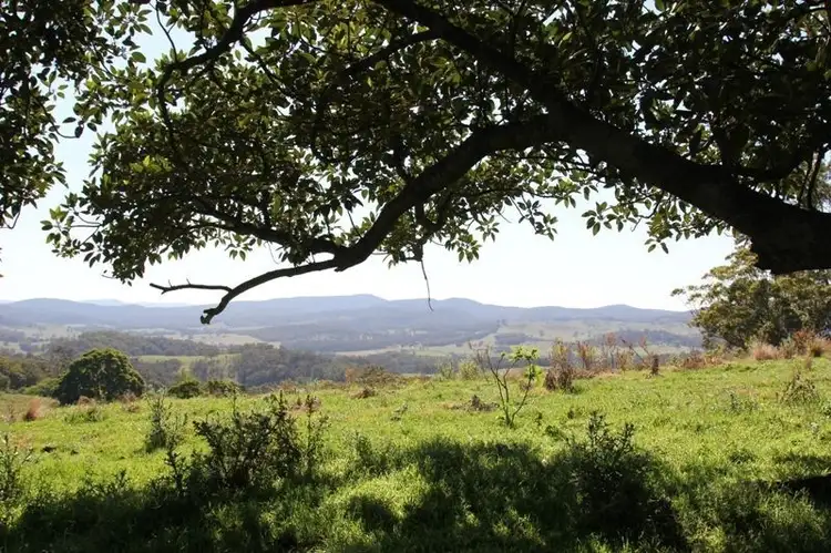 Main view of Homely land listing, 103 Brewers Road, Dungog NSW 2420