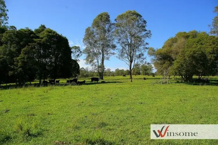 Sixth view of Homely rural property listing, 101 Mungay Creek Road, Mungay Creek NSW 2440