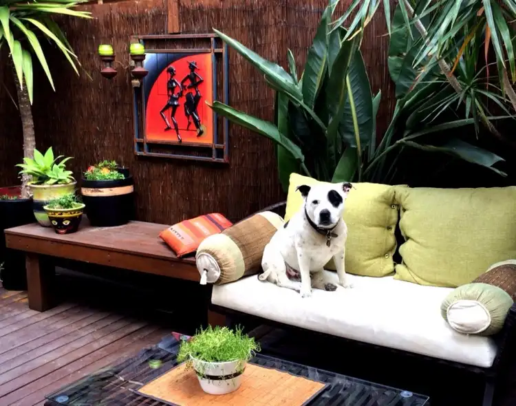 31 Tennyson Street, Carrum VIC 3197