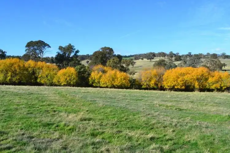 Fourth view of Homely land listing, 150 Gonzaga Lane, Merrijig VIC 3723