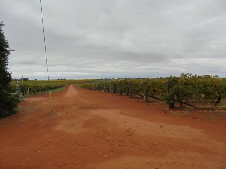 Third view of Homely rural property listing, 905 Malaya Road, Robinvale VIC 3549