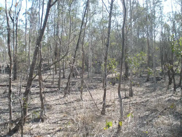 Seventh view of Homely house listing, 5 Coverty Road, Coverty QLD 4613