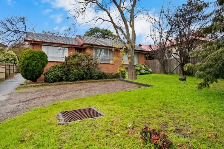 Main view of Homely unit listing, 1/14 Through Road, Ringwood North VIC 3134
