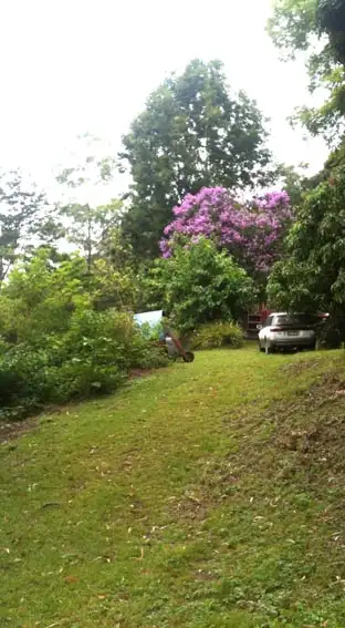 Seventh view of Homely rural property listing, * Mulvena Road, Larnook NSW 2480