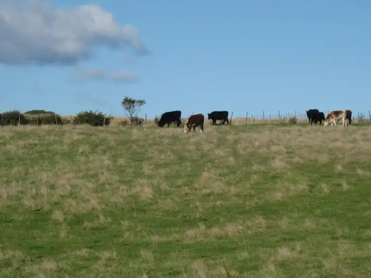 Seventh view of Homely rural property listing, 18A CARR, Gladstone TAS 7264