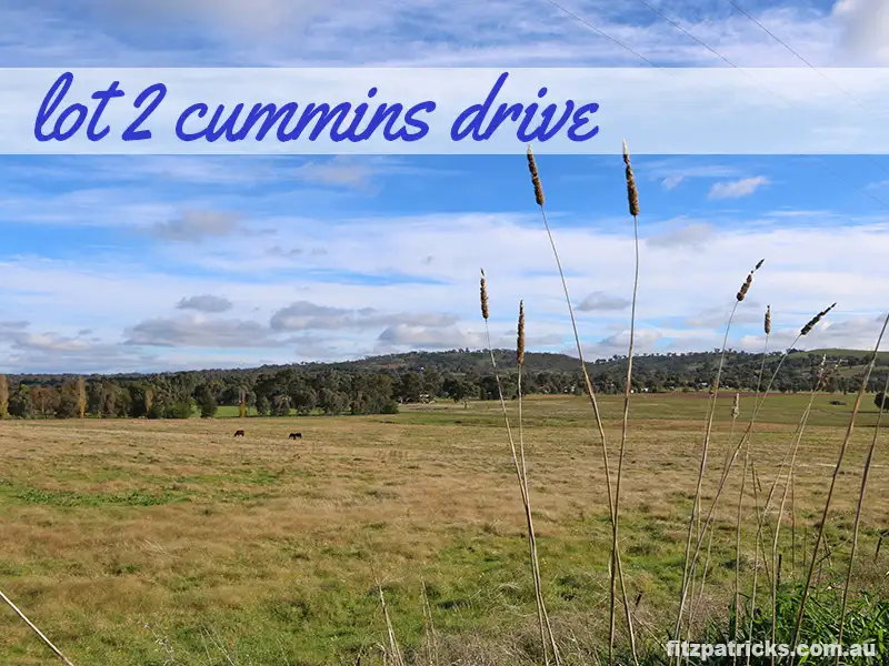 Main view of Homely land listing, LOT 2 Cummins Drive, San Isidore NSW 2650