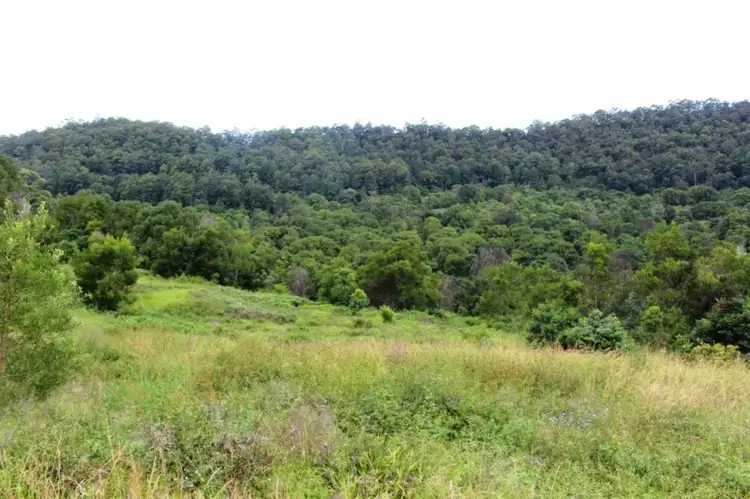 Third view of Homely rural property listing, Share 7/345 Tuntable Falls Road, Nimbin NSW 2480