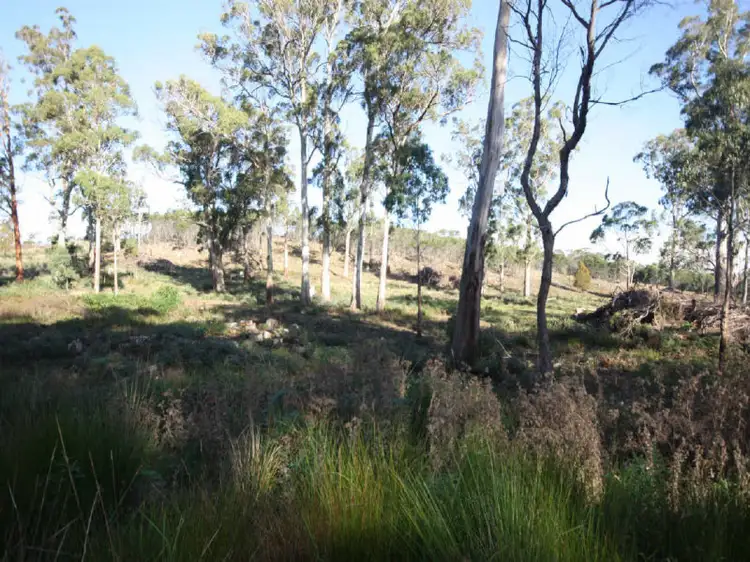 Sixth view of Homely land listing, 1907 East Tamar Highway, Dilston TAS 7252