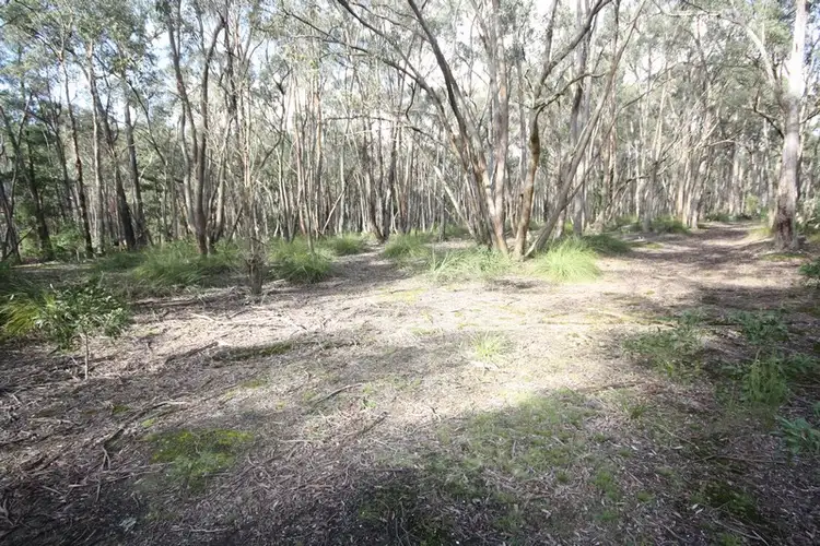 Sixth view of Homely land listing, Lot 12 Race Road, Ross Creek VIC 3351