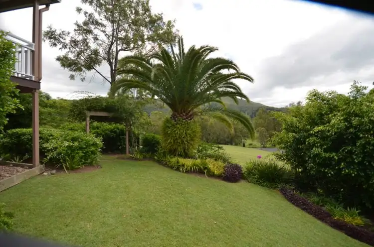 Second view of Homely rural property listing, 169 Lamington National Park Road, Canungra QLD 4275