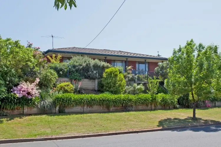 389 Halehaven Crescent, Lavington NSW 2641