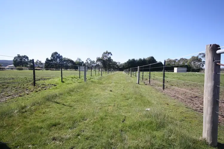 Seventh view of Homely house listing, 99 Lachlan Road, Invermay VIC 3352