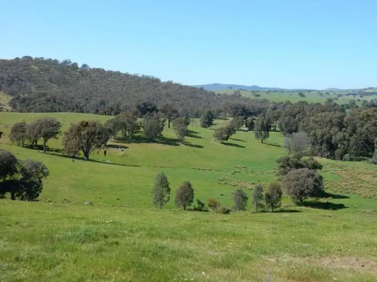 Third view of Homely rural property listing, 390 BURRANDANA ROAD, Wagga Wagga NSW 2650