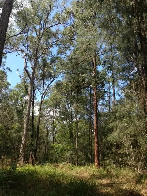 Third view of Homely land listing, 970 Kungala Rd, Lanitza NSW 2460