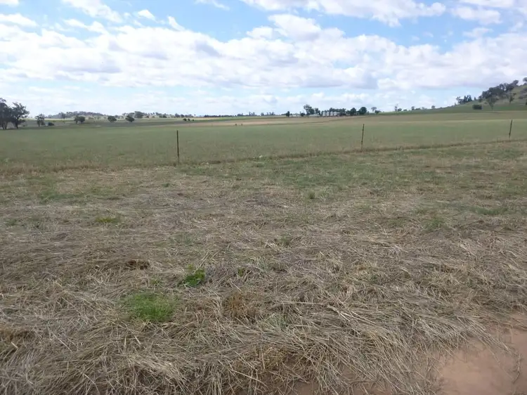 Fifth view of Homely rural property listing, Lot 5 Canowindra Road, Cowra NSW 2794