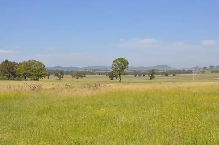 Second view of Homely land listing, 221 Black Lead Lane, Gulgong NSW 2852