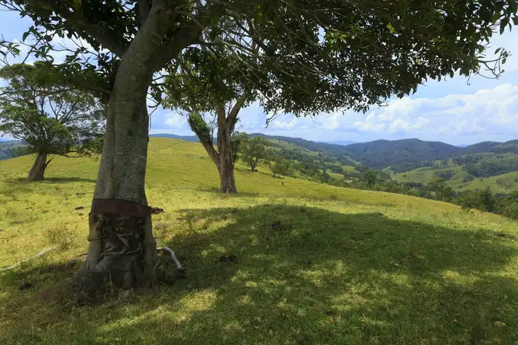 Sixth view of Homely land listing, 2604 Paterson River Road, Gresford NSW 2311