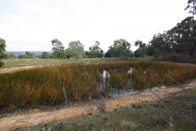 Seventh view of Homely house listing, 100 Gists Road, Smythesdale VIC 3351
