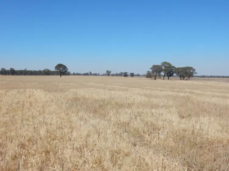 Seventh view of Homely rural property listing, 2791 Sturt Highway Collingullie via Wagga Wagga, Wagga Wagga NSW 2650