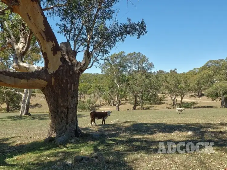 Lot 80 Borehamwood Road, Mount Torrens SA 5244