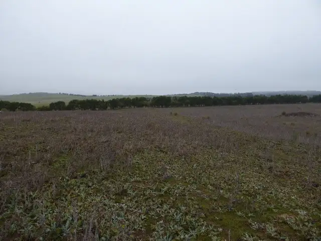 Main view of Homely land listing, lot 112 Waterview Road, (Meadows Stage 2), Goulburn NSW 2580